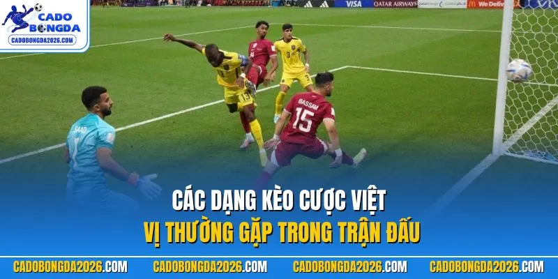 Các dạng kèo cược việt vị thường gặp trong trận đấu